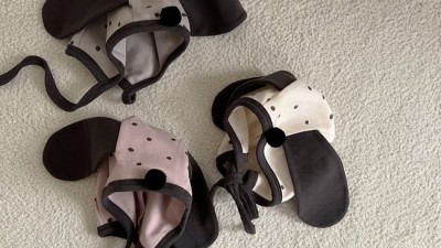 댕댕이보넷 득템! 우리 강아지 여름나기 프로젝트 후기🐶☀️